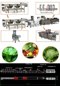 大型中央厨房蔬菜加工生产线 蔬菜流水线 果蔬加工线 电议