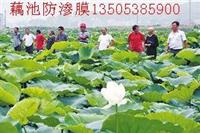 莲藕防渗膜20丝价格便宜